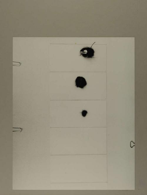 Photograph of item