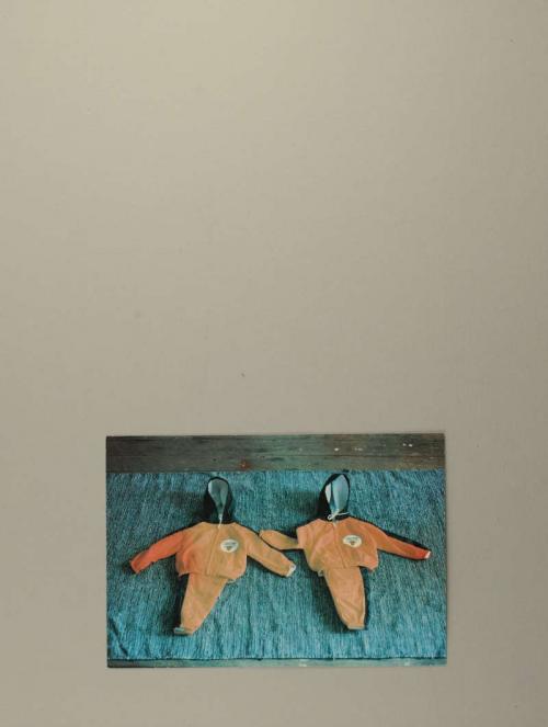 Photograph of item