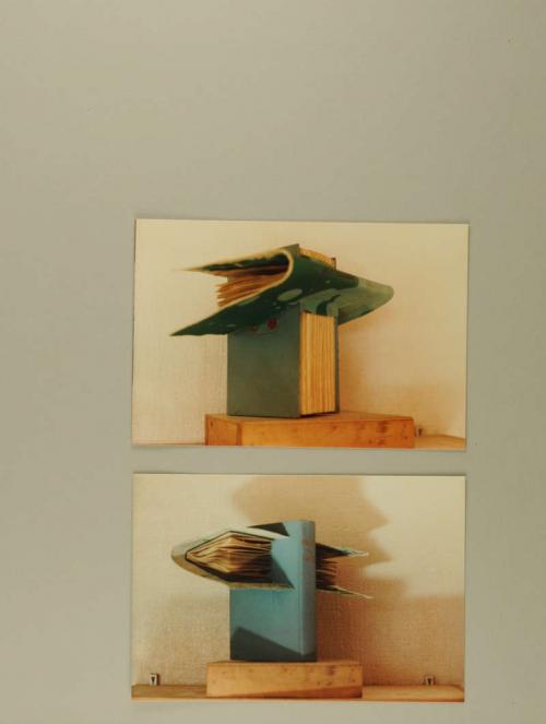Photograph of item