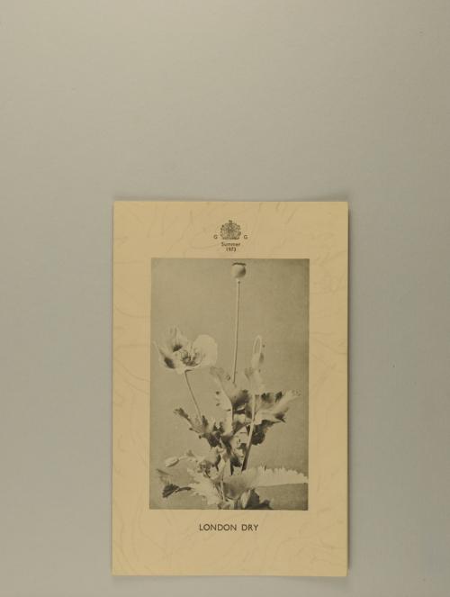 Photograph of item