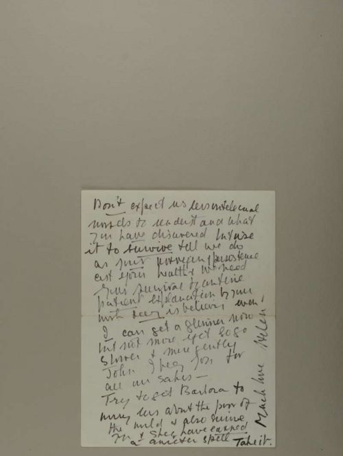 Photograph of item