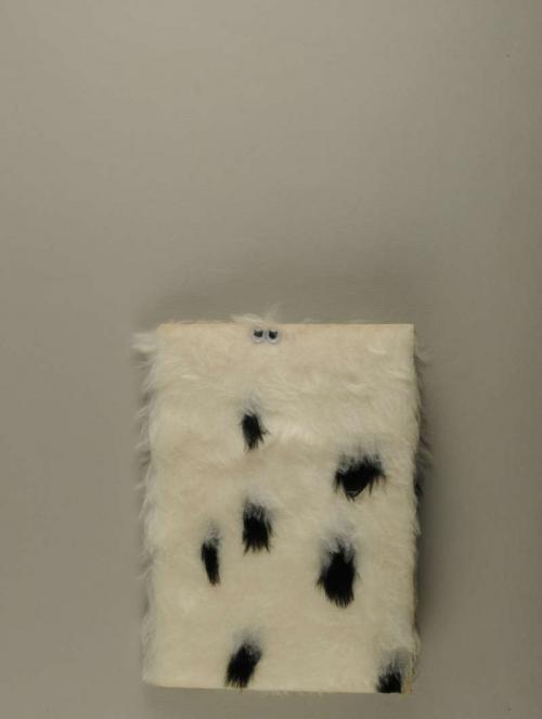 Photograph of item