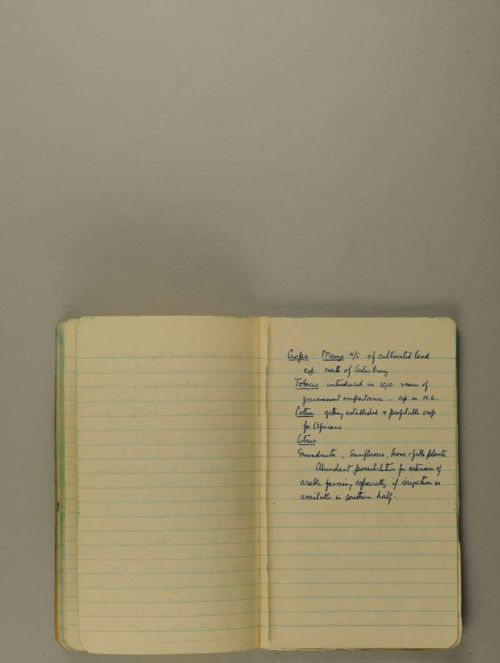 Photograph of item