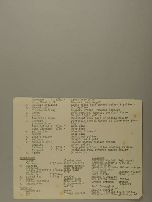 Photograph of item