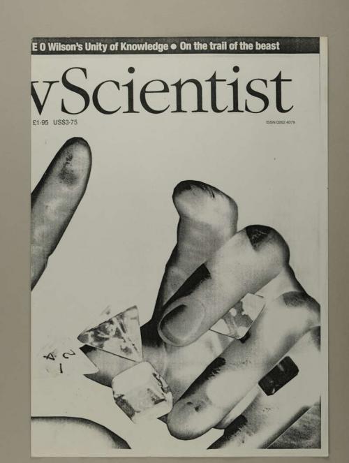 Photograph of item