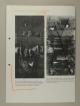 Photograph of item