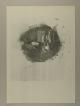 Photograph of item