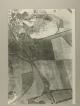 Photograph of item