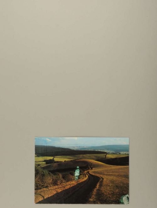 Photograph of item