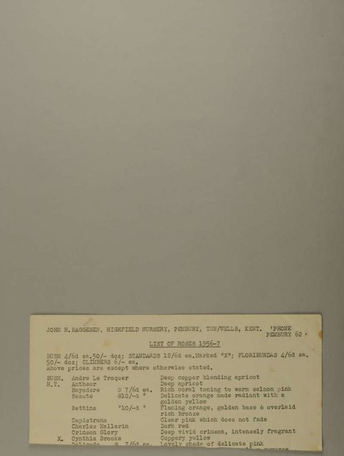 Photograph of item