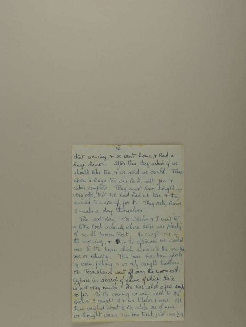 Photograph of item
