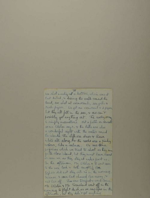 Photograph of item