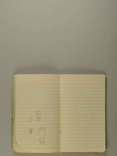 Photograph of item