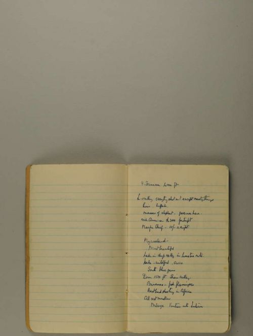 Photograph of item
