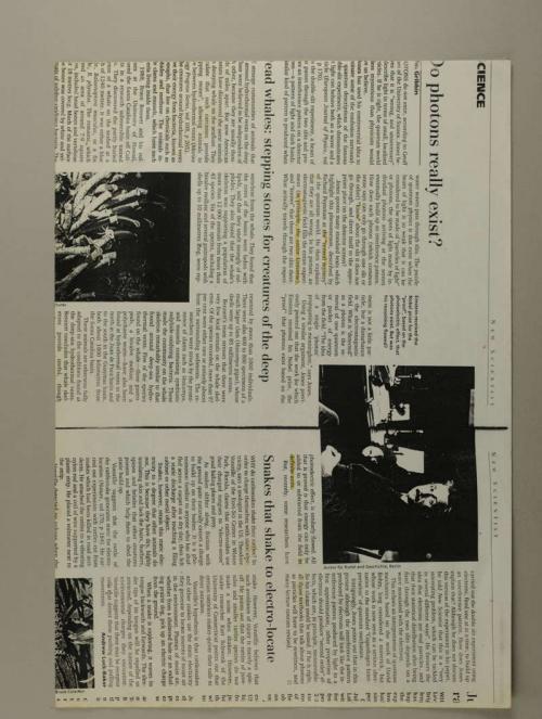 Photograph of item